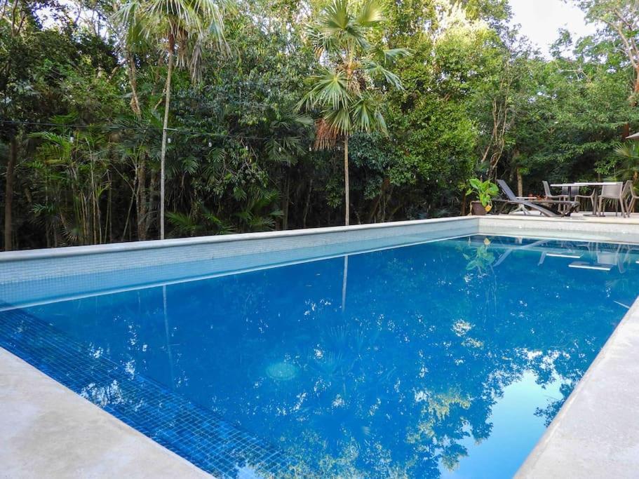 Aku-Chic Newly Furbished Condo Jungle Pool Xetna Eksteriør bilde